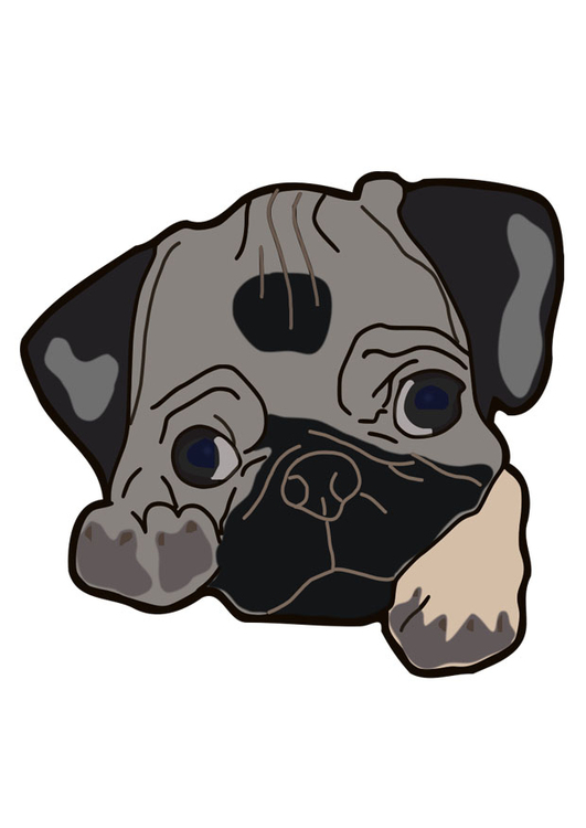 Image dog - pug