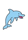 Image dolphin