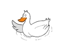 image duck