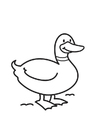 Coloring page duck