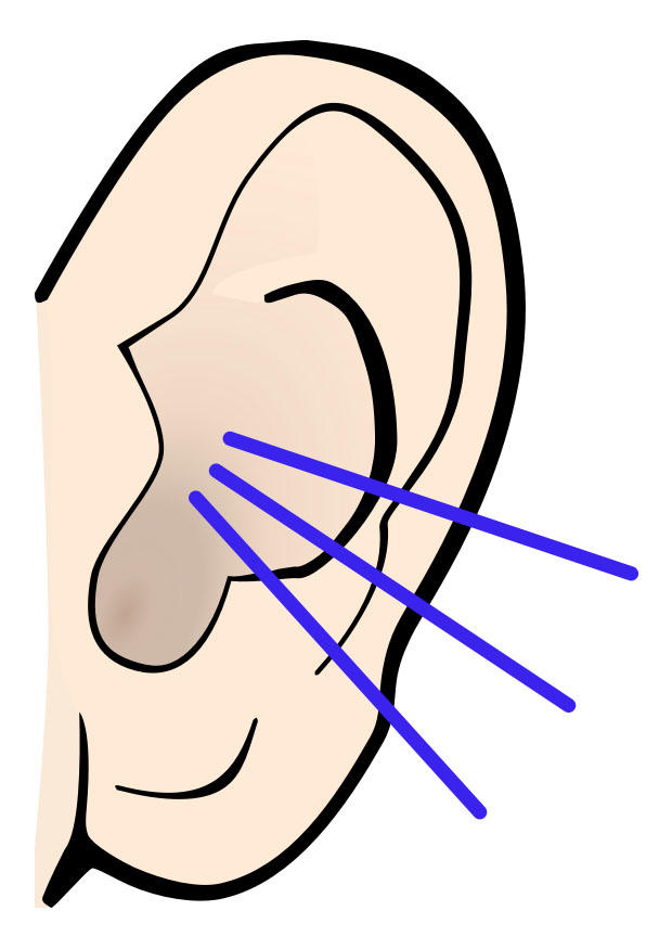 Image ear - sound