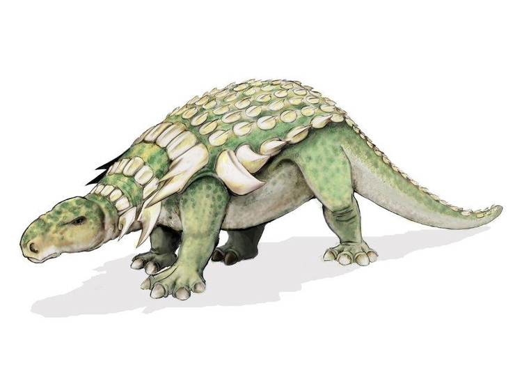 Image Edmontonia dinosaur