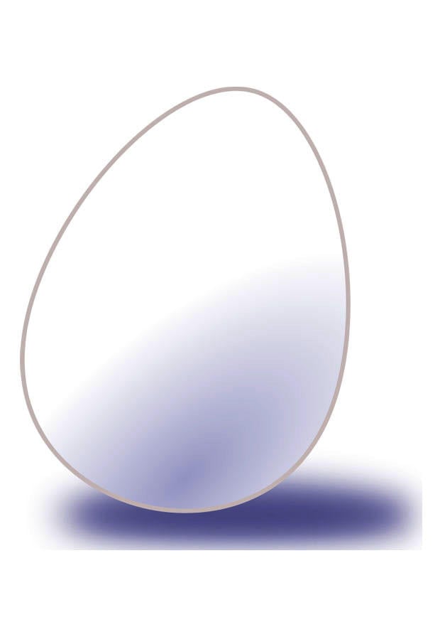 Image egg