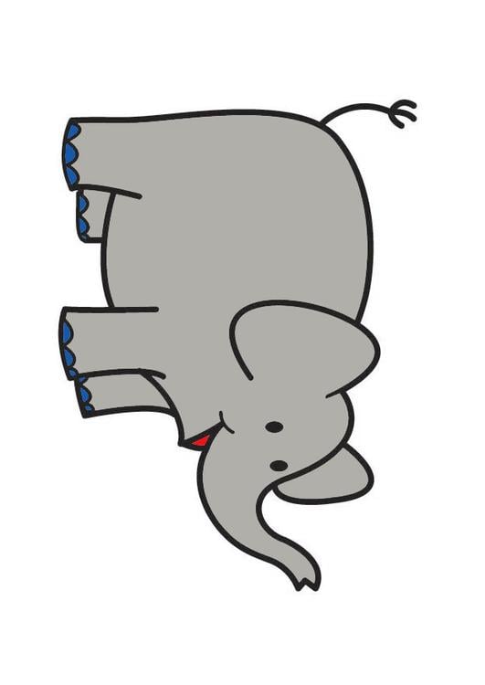 elephant