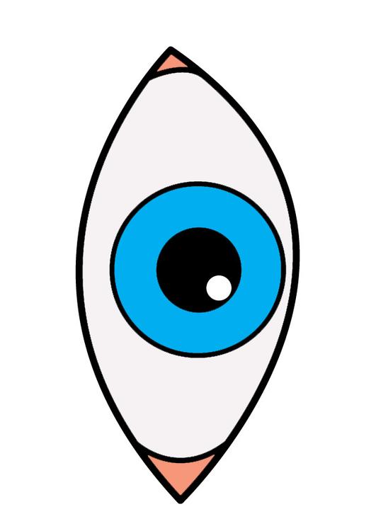 eye
