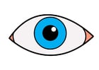 Image eye