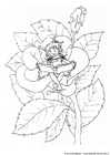 Coloring page fairy
