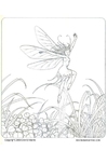 Coloring page fairy