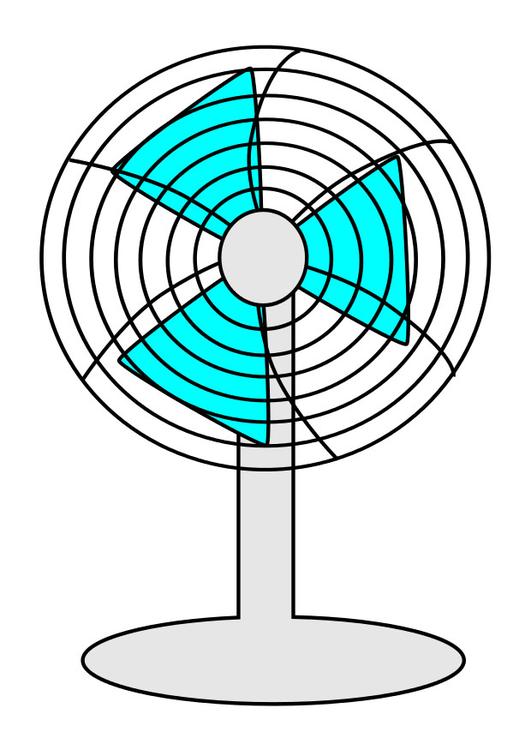 fan