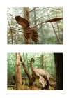 Image feathered dinosaurs