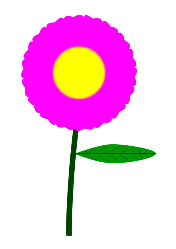 Image flower