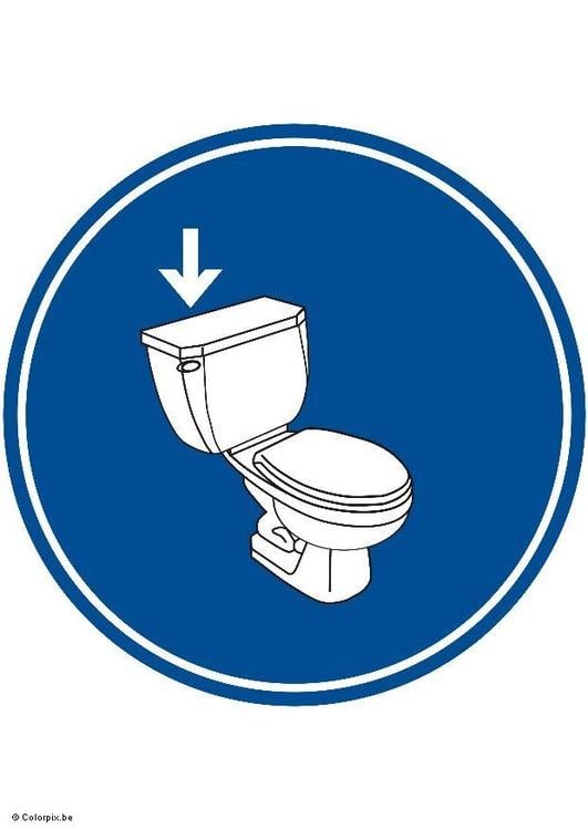 flush the toilet