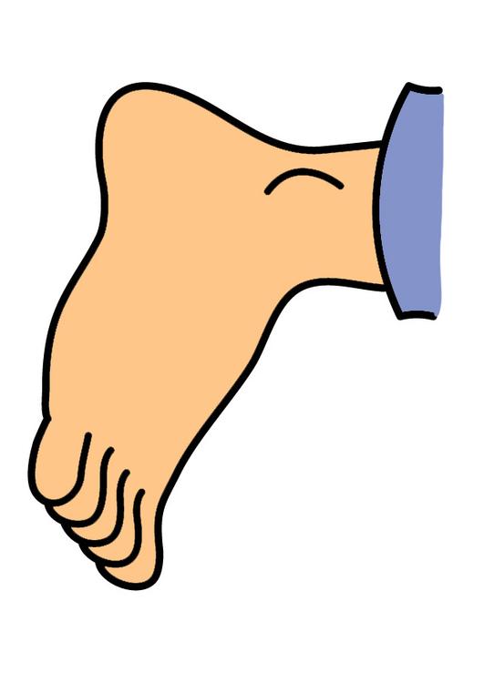 foot