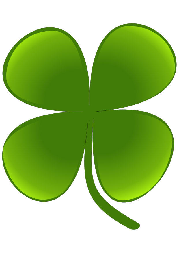 Image four-leaf clover - Img 20765