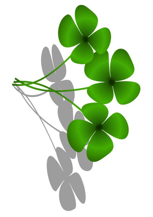 four-leaf clover