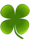 Images four-leaf clover