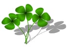 Images four-leaf clover