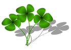 Image four-leaf clover