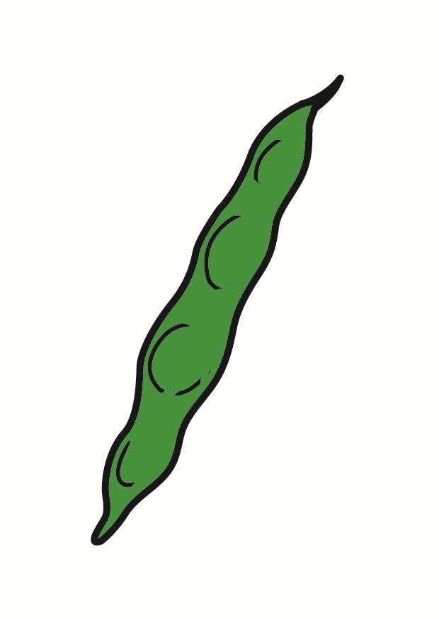 Image French bean