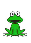 Images frog