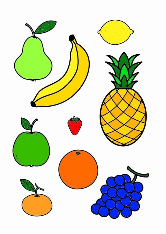 Fruits Vegetables Drawing Images – Browse 1,341,055 Stock Photos, Vectors,  and Video | Adobe Stock