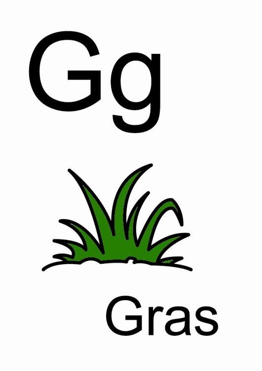 g