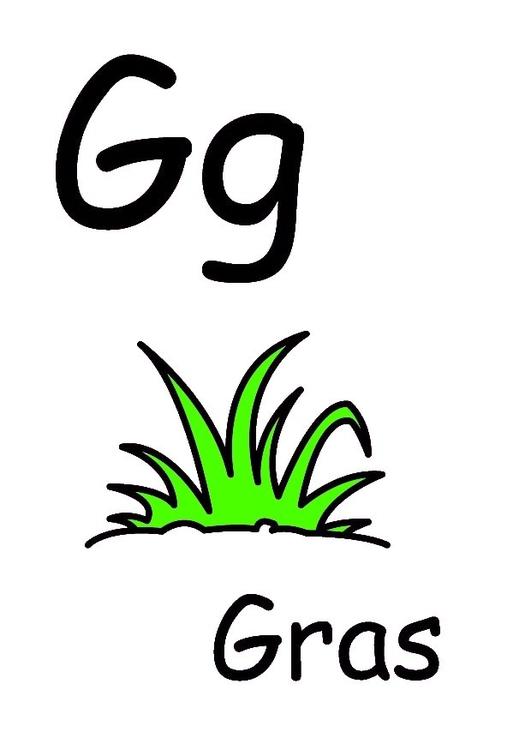 g