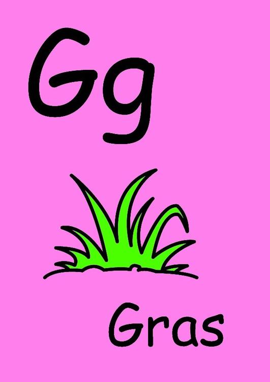 g