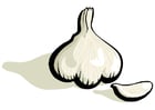 Image garlic