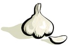 garlic