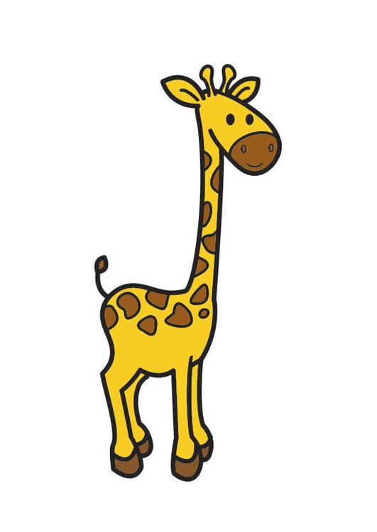 giraffe