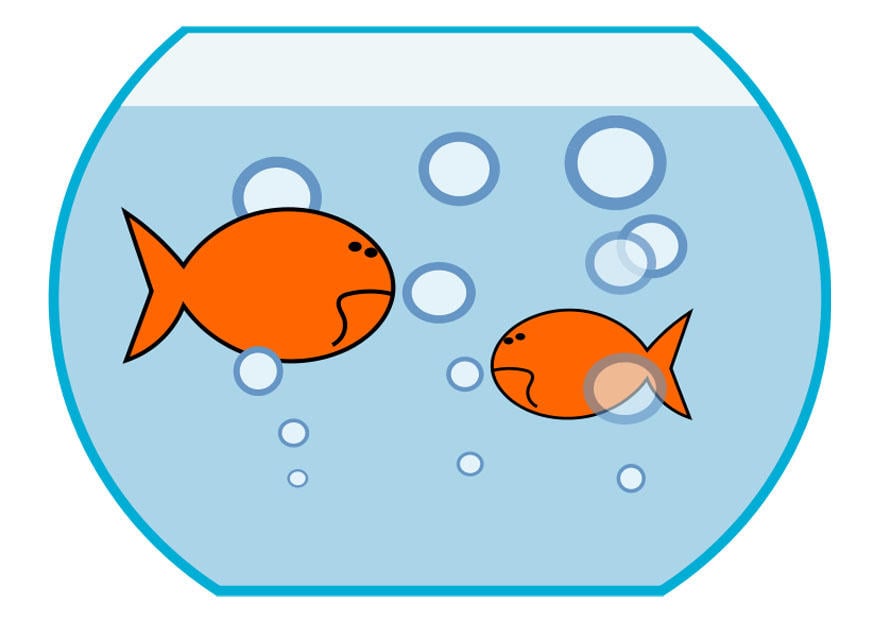 Image goldfish