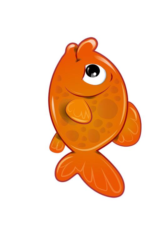 goldfish