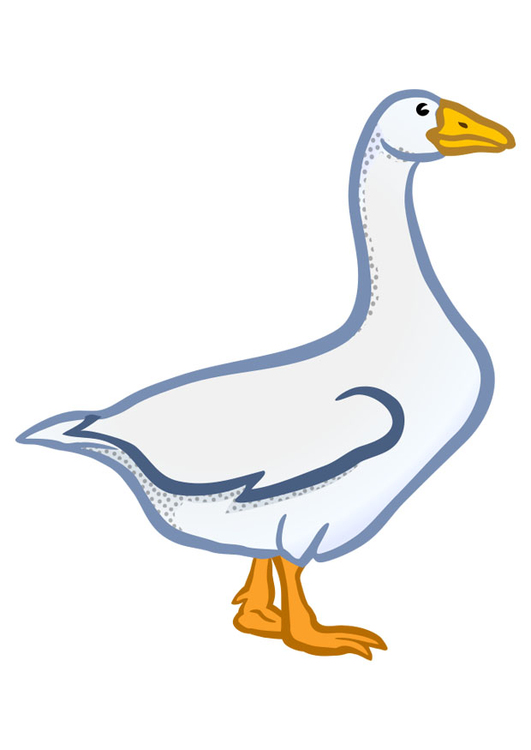 Image goose