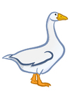 Images goose