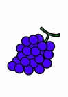 Images grapes
