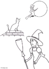 Coloring page halloween witch