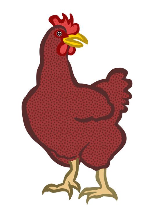 hen