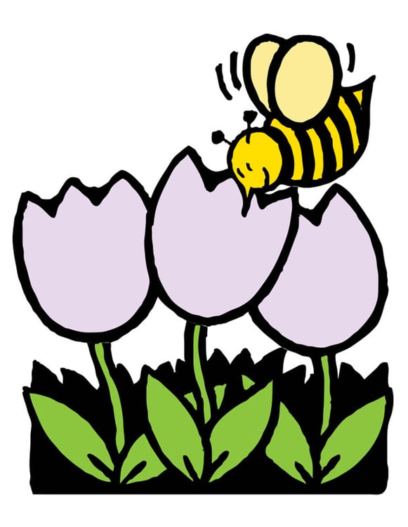 Image honey bee and tulips