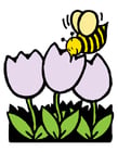 honey bee and tulips