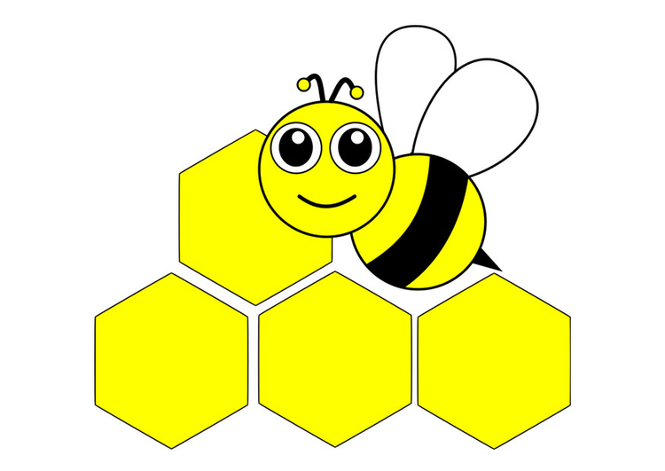 Image honeybee - front
