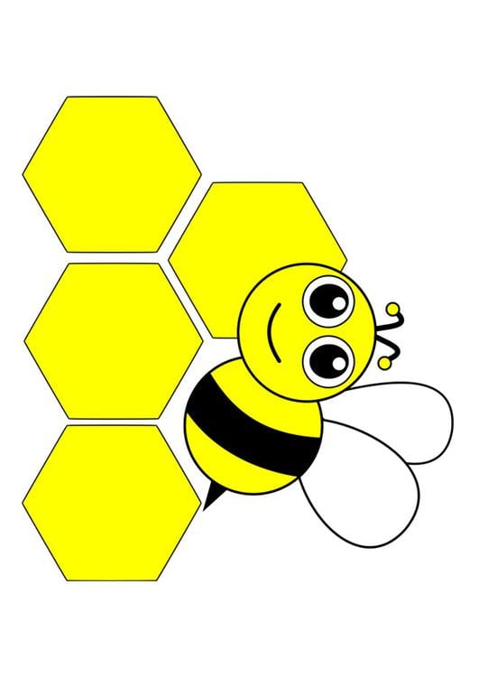 honeybee - front