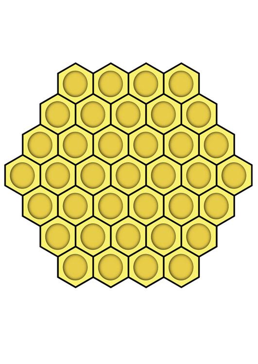 honeycomb