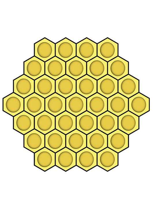 honeycomb