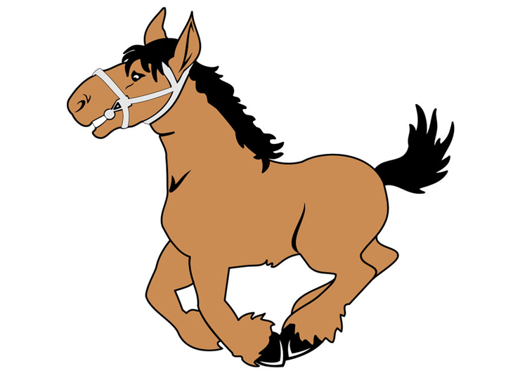 Image horse