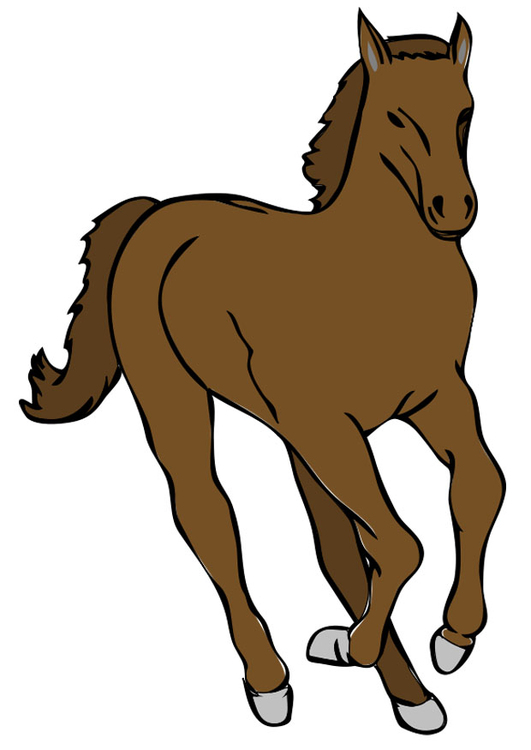 Image horse