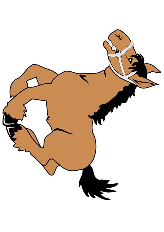 horse