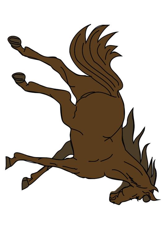 horse