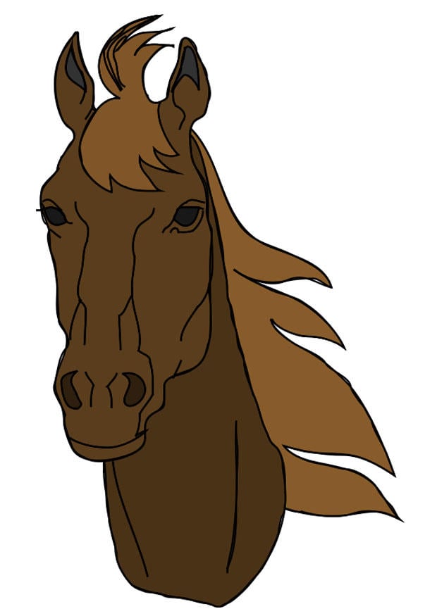 Image horse's head