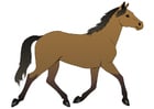 Image horse